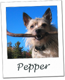 Pepper